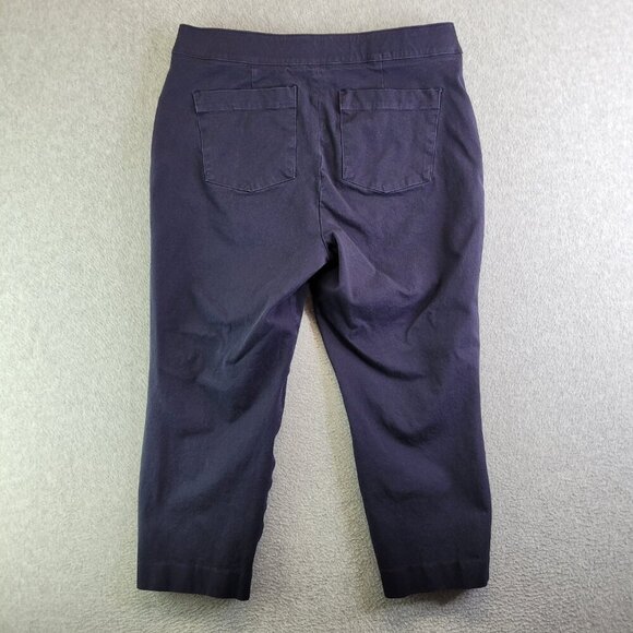 Spanx Pants Womens LP Blue Polished Ankle Slim Slimming Pull On High Rise - Picture 2 of 13